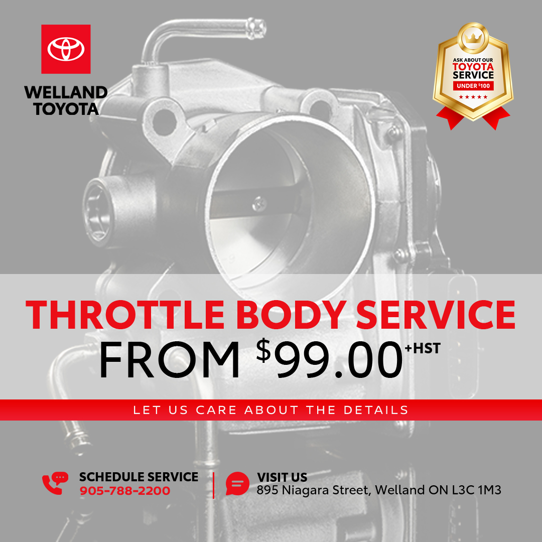 Throttle Body Service